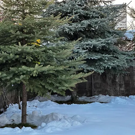 Erciyes Daginda Bol Oksijen * Kayseri