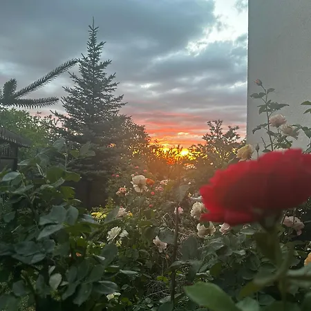 Villa Erciyes Daginda Bol Oksijen *